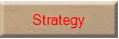 Company strategy
