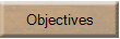 company objectives