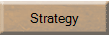 Company strategy